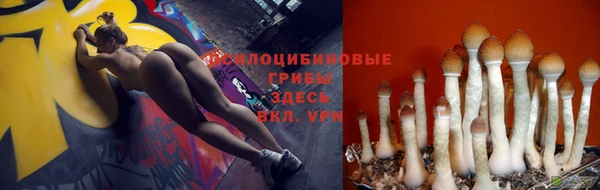 мяу мяу мука Усинск