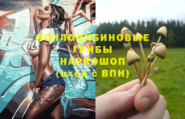 соль ск Кадников