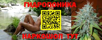 сатива Будённовск