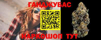 сатива Будённовск