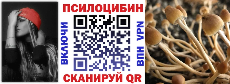 Галлюциногенные грибы GOLDEN TEACHER  Беслан 