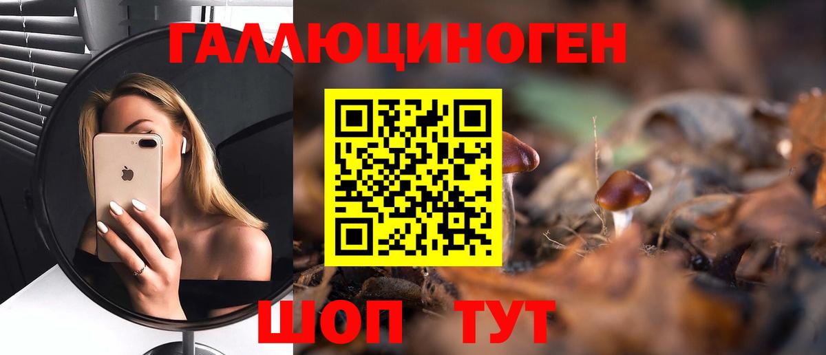 Беслан  Псилоцибиновые грибы мицелий  Вход с VPN  купить  цена  Галлюциногенные грибы Magic Shrooms 
