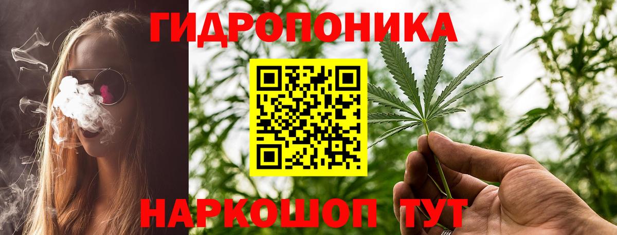 Марихуана семена Беслан